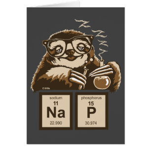 Chemistry sloth discovered nap