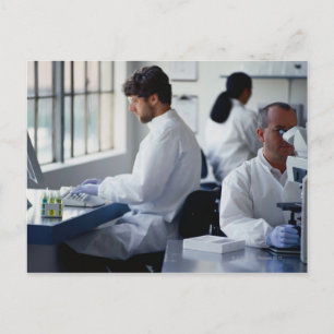 Chemists Working in a Laboratory Postcard