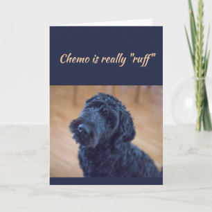 Chemo is Ruff  Cute Black Curly Dog Pet Card