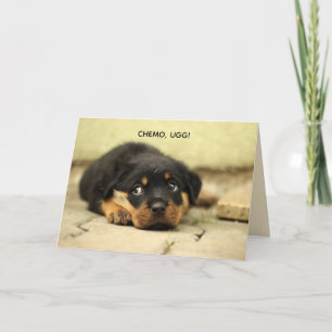 CHEMO-UGG PUPPY GET WELL CARD