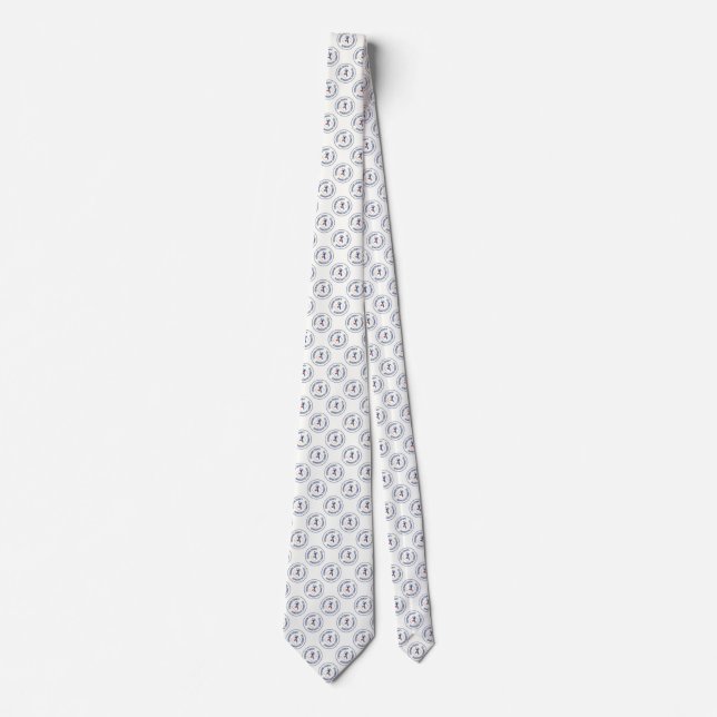 CHEMUNG COUNTY DEMOCRATIC COMMITTEE TIE (Front)