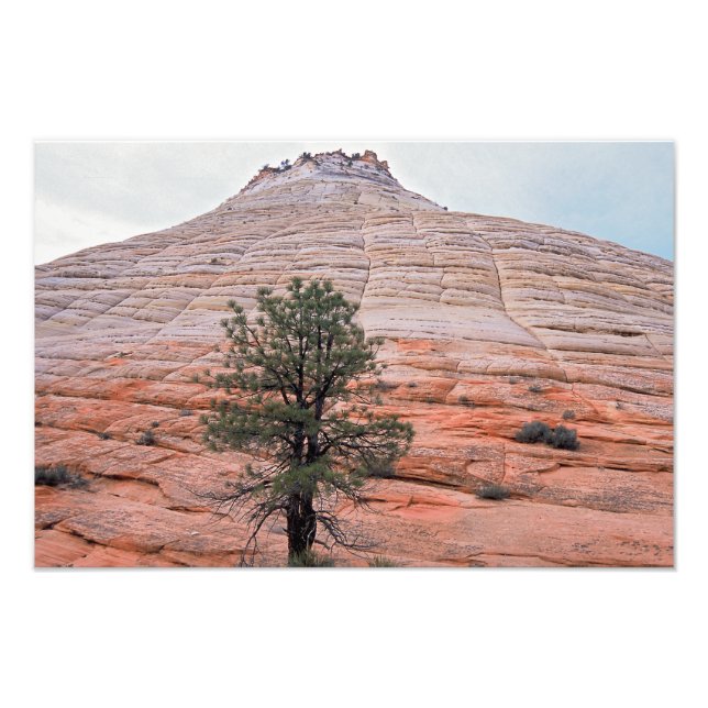 Chequerboard Mesa Zion National Park Photo Print (Front)