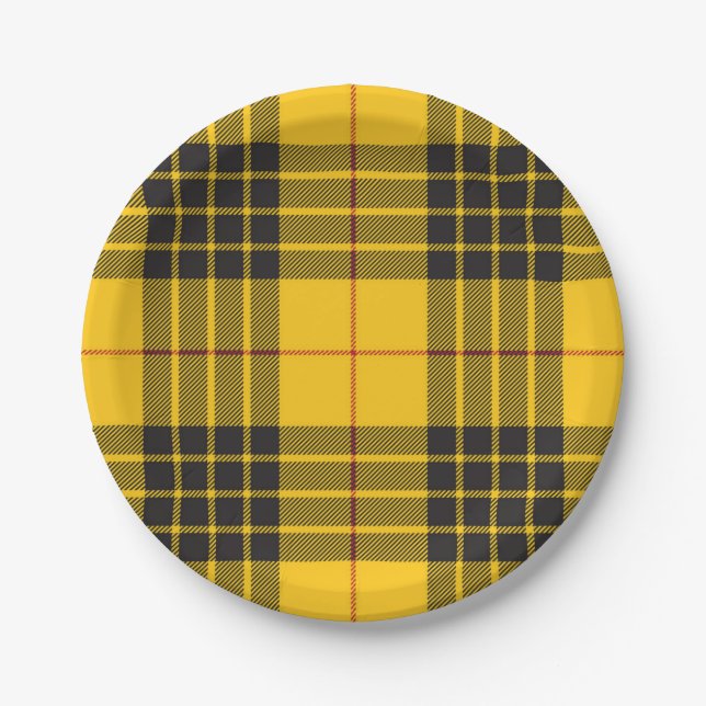 Chequered pattern paper plate (Front)