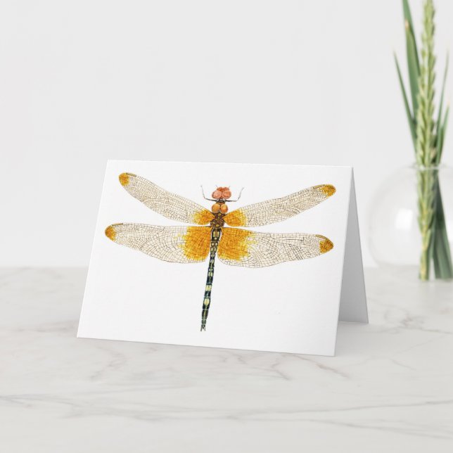 Chequered Setwing Dragonfly Watercolor Card (Front)