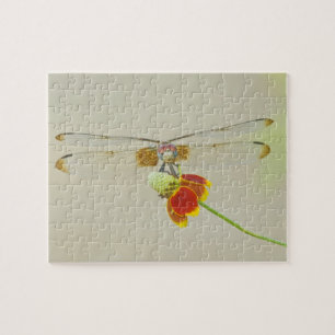 Chequered Setwing (Dythemis fugax) on Mexican Jigsaw Puzzle
