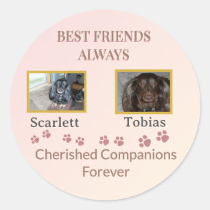 Cherished Companions Pawprint Classic Round Sticker