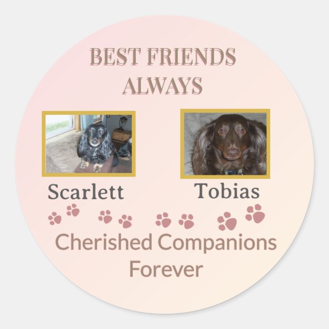 Cherished Companions Pawprint Classic Round Sticker (Front)