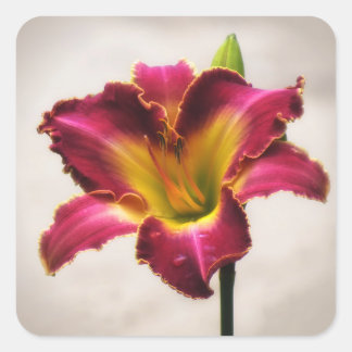 Cherokee Heritage Daylily Square Sticker