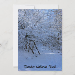 Cherokee National Forest Snow Trail Holiday Card