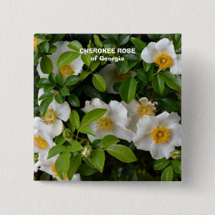 Cherokee Rose 15 Cm Square Badge