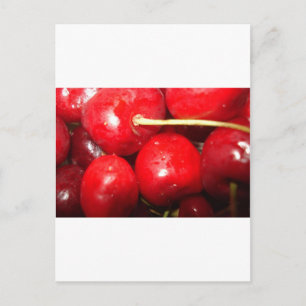 Cherries Art Photo Postcard