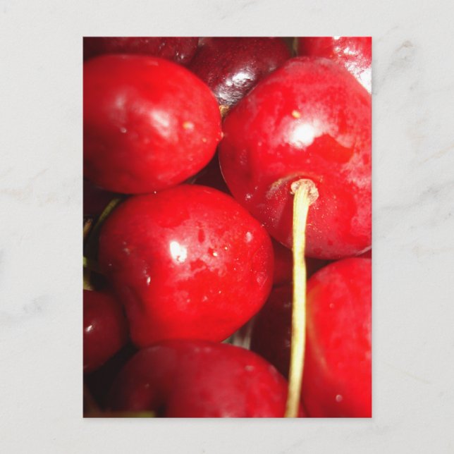 Cherries Art Photo Postcard (Front)
