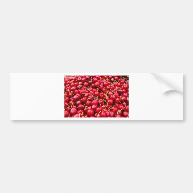 Cherries Bumper Sticker (Front)