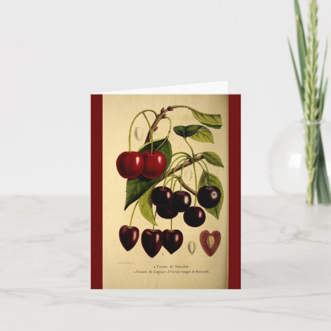 Cherries Card (Front)