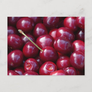 Cherries Postcard
