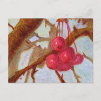 Cherries, Postcard