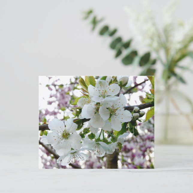 Cherry Blossom (Standing Front)