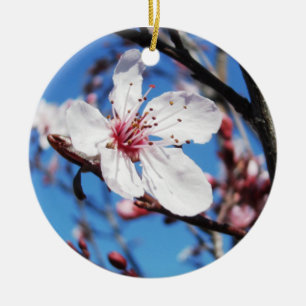 Cherry Blossom 2 Ceramic Tree Decoration