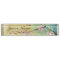 Cherry Blossom Acrylic Desk Nameplate