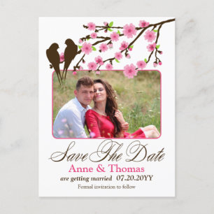 Cherry Blossom and Love Birds Photo Save The Date Announcement Postcard