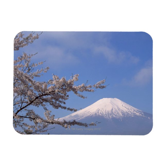 Cherry Blossom and Mt. Fuji 2 Magnet (Horizontal)