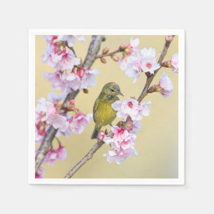 Cherry Blossom and Warbler Napkin