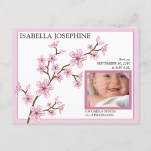 Cherry Blossom Baby Girl Birth Announcement: pink Announcement Postcard