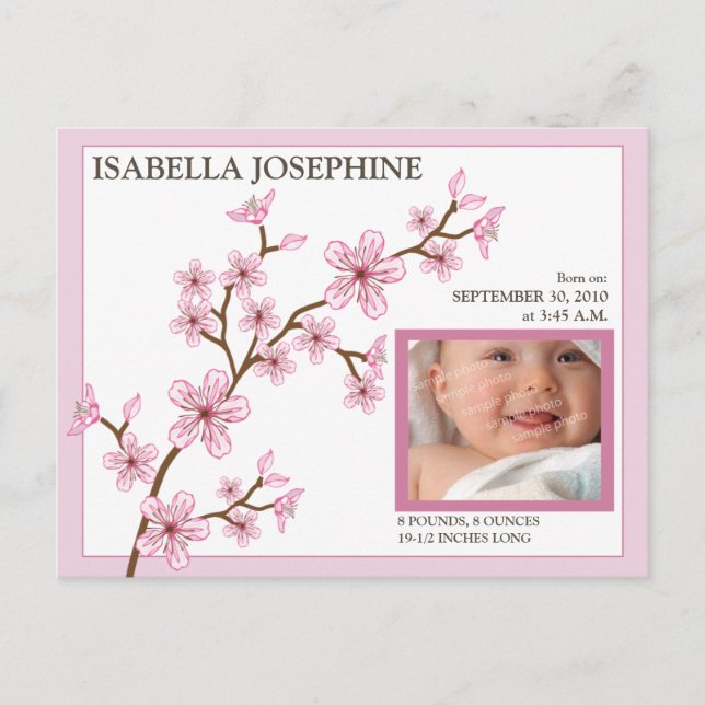 Cherry Blossom Baby Girl Birth Announcement: pink Announcement Postcard (Front)