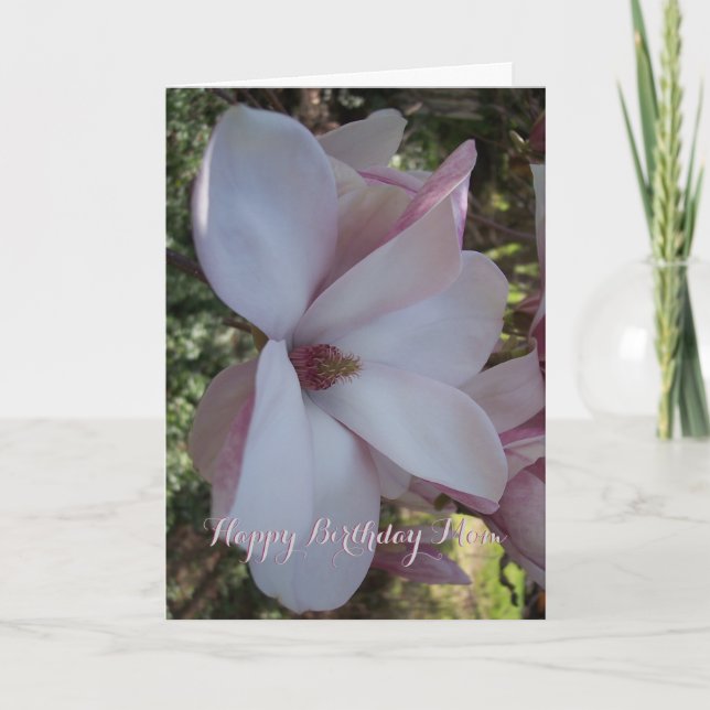 Cherry Blossom Birthday Card (Front)