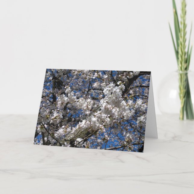 Cherry Blossom Blank notecard (Front)