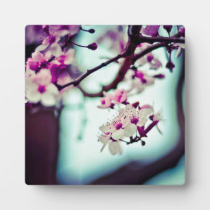 Cherry Blossom Branch Plaque