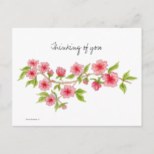 Cherry Blossom Branch Postcard