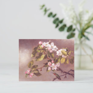 Cherry Blossom Branch Postcard