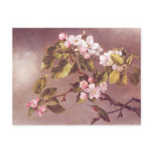 Cherry Blossom Branch
