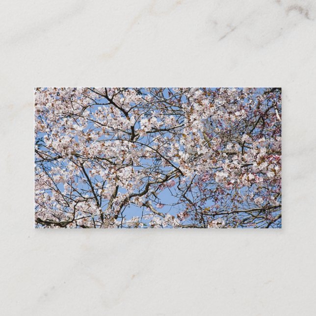 Cherry Blossom Business Card (Front)