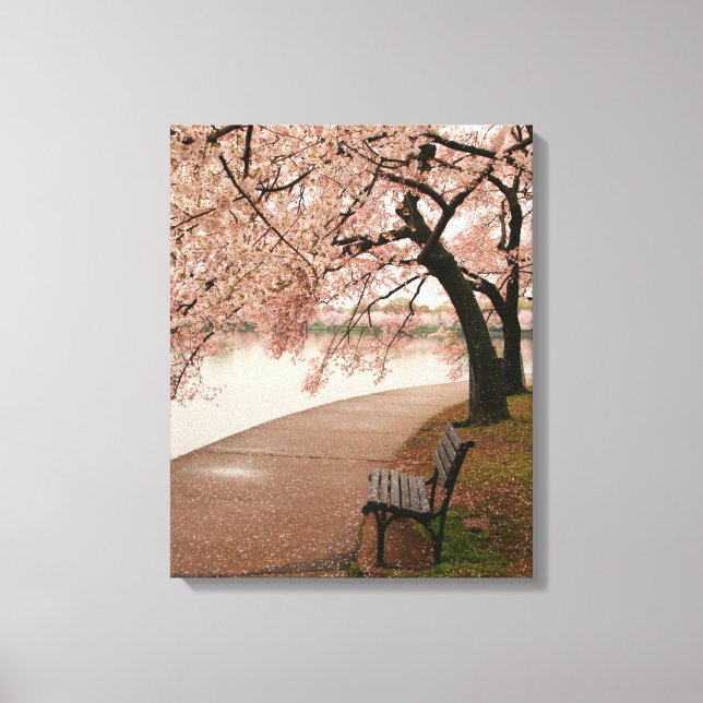 Cherry Blossom Canvas (Front)