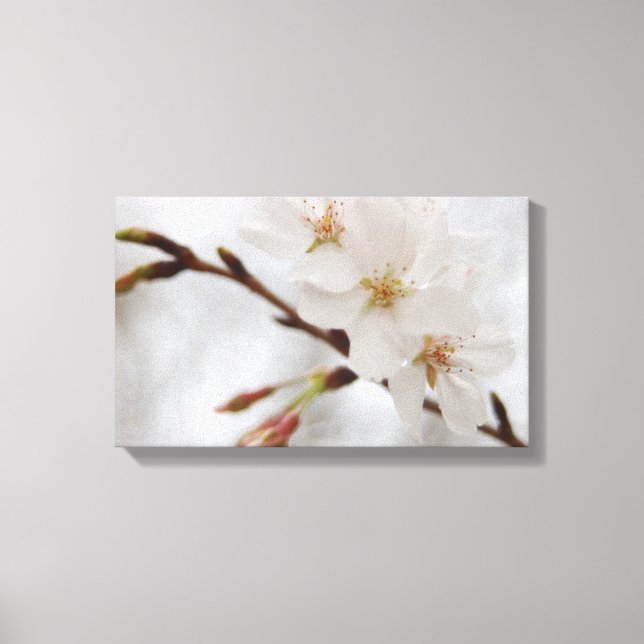 Cherry Blossom Canvas Art (Front)