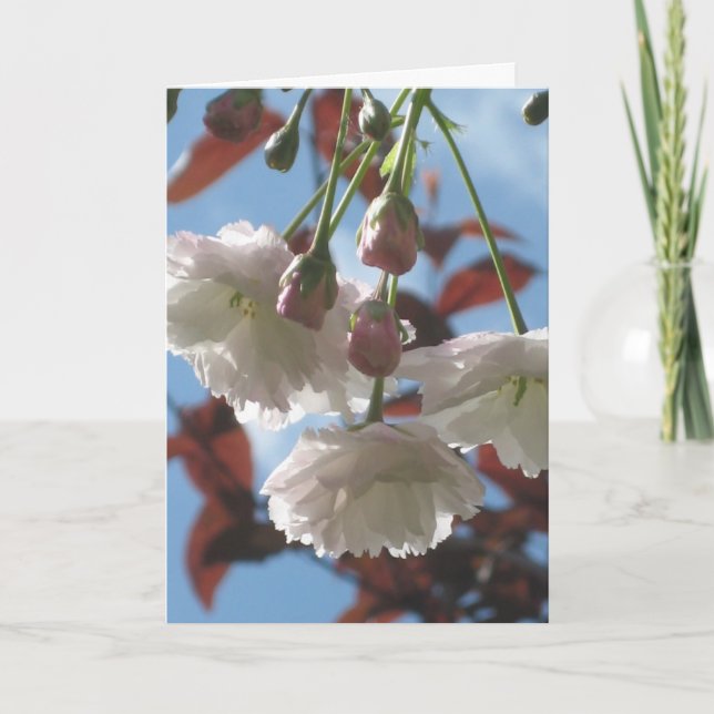Cherry Blossom Card (Front)