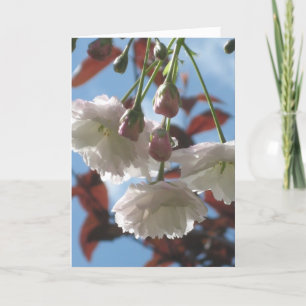 Cherry Blossom Card