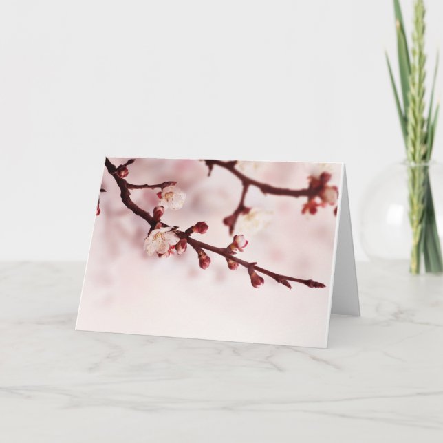 Cherry Blossom Card (Front)