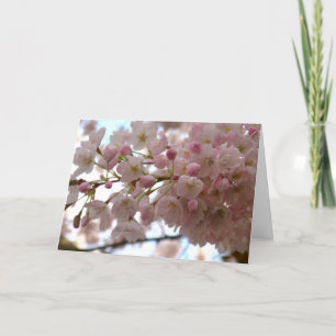 Cherry Blossom Card White Blossom Card Personalise