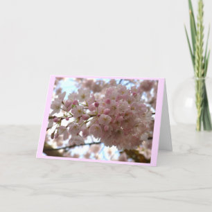 Cherry Blossom Card White Blossom Card Personalise