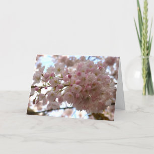 Cherry Blossom Card White Blossom Card Personalise