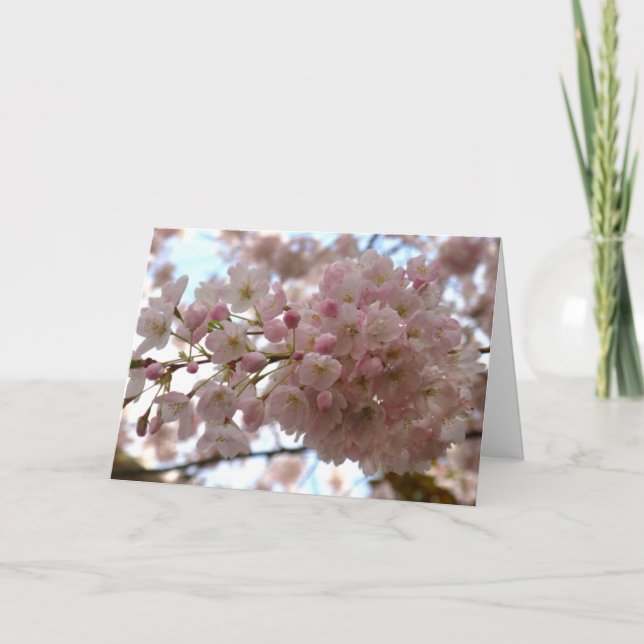 Cherry Blossom Card White Blossom Card Personalise (Front)