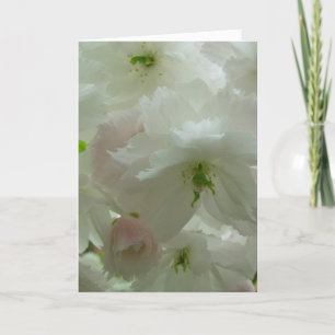 Cherry Blossom Card White Blossom Card Personalise