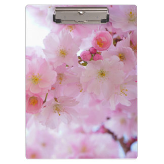 Cherry blossom clipboard
