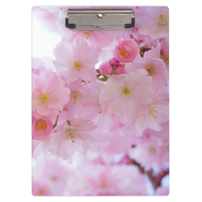 Cherry blossom clipboard (Front)