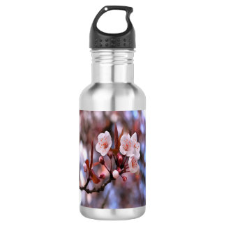 Cherry Blossom Cluster With A Pink and Blue 532 Ml Water Bottle
