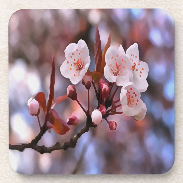 Cherry Blossom Cluster With A Pink and Blue  Coaster (Front)