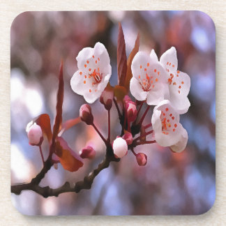 Cherry Blossom Cluster With A Pink and Blue Coaster